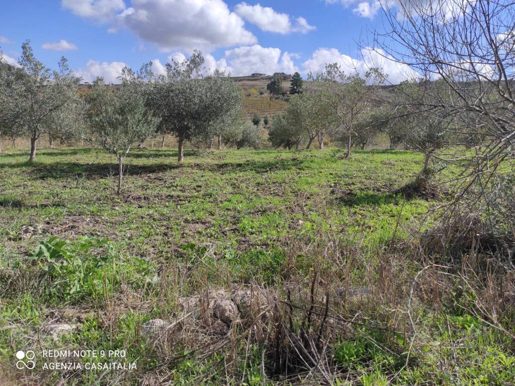 Villa a Naro in SS410dir - Foto 5