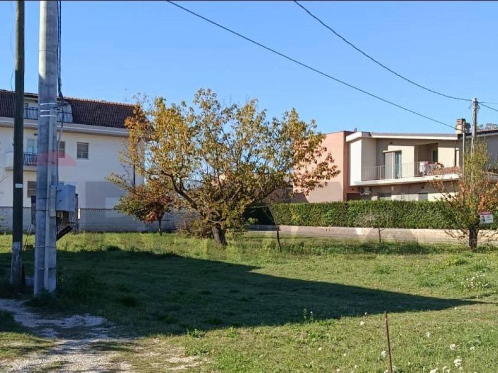 Terreno a Cepagatti - Foto 4