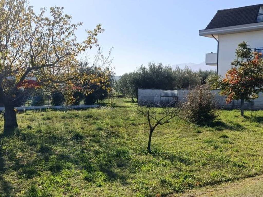 Terreno a Cepagatti - Foto 5