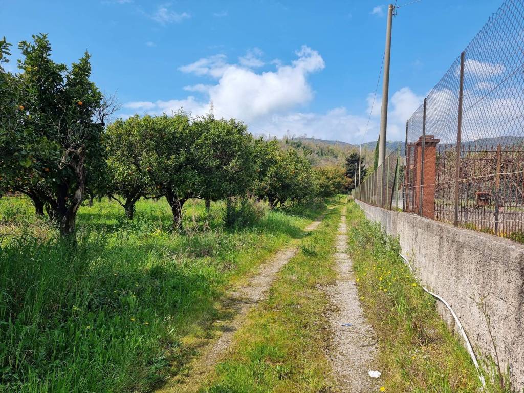 Terreno a Salerno in Strada Provinciale Francesco Spirito - Foto 2
