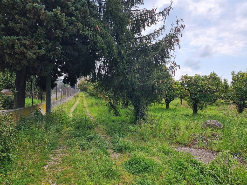 Terreno a Salerno in Strada Provinciale Francesco Spirito - Foto 3