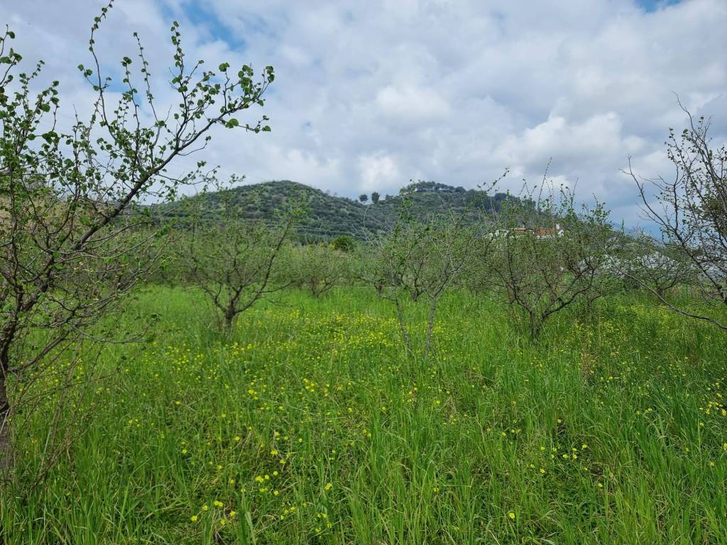 Terreno a Salerno in Strada Provinciale Francesco Spirito - Foto 4