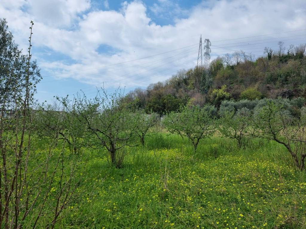 Terreno a Salerno in Strada Provinciale Francesco Spirito - Foto 5
