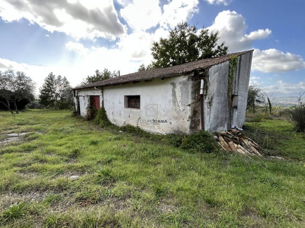 Rustico / casale a Fontanarosa in Via Francesco De Sanctis, 47 - Foto 5