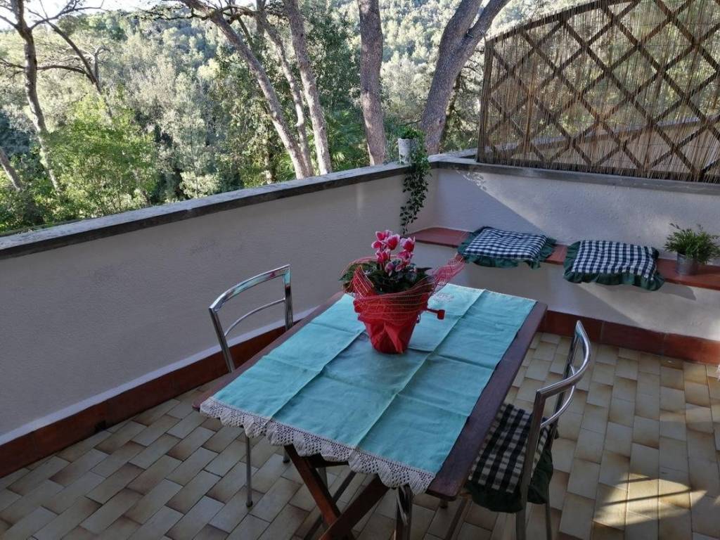 Appartamento a Rosignano marittimo - Foto 2