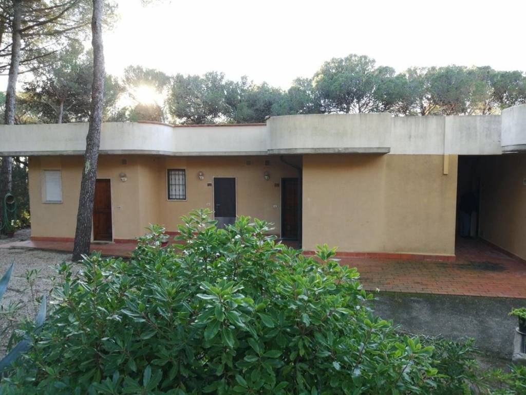 Appartamento a Rosignano marittimo - Foto 3