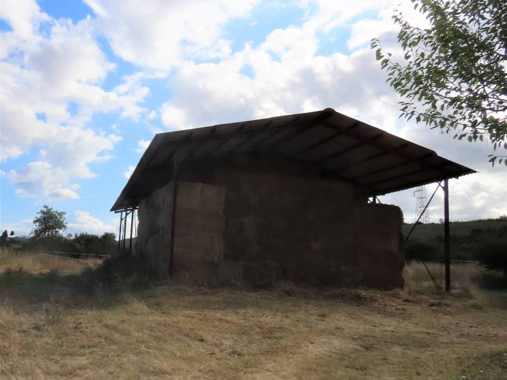 Rustico / casale a Castellina marittima - Foto 4