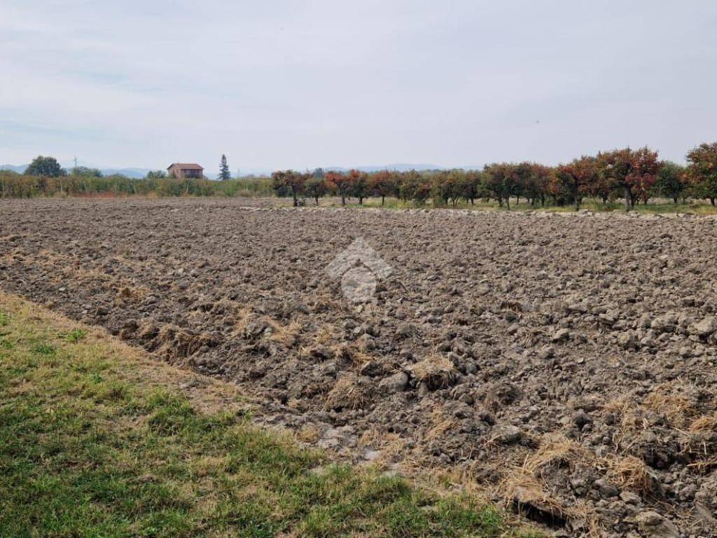 Terreno a Savignano sul panaro in Via Manelle, 16 - Foto 4