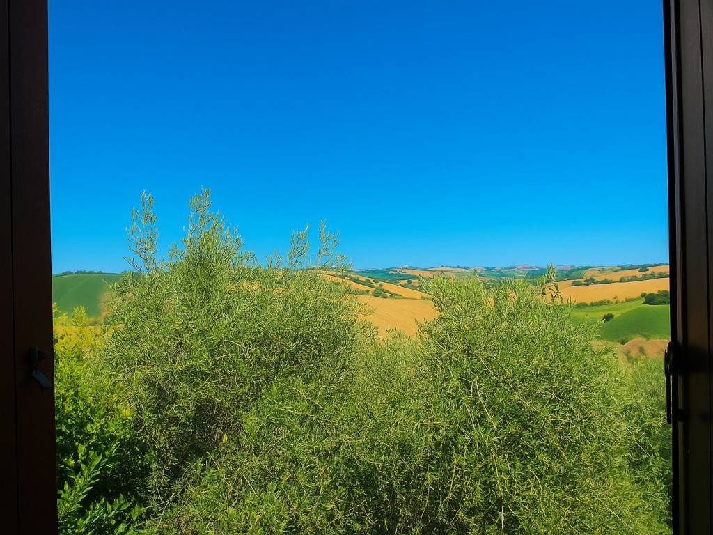 Rustico / casale a Belvedere ostrense - Foto 5