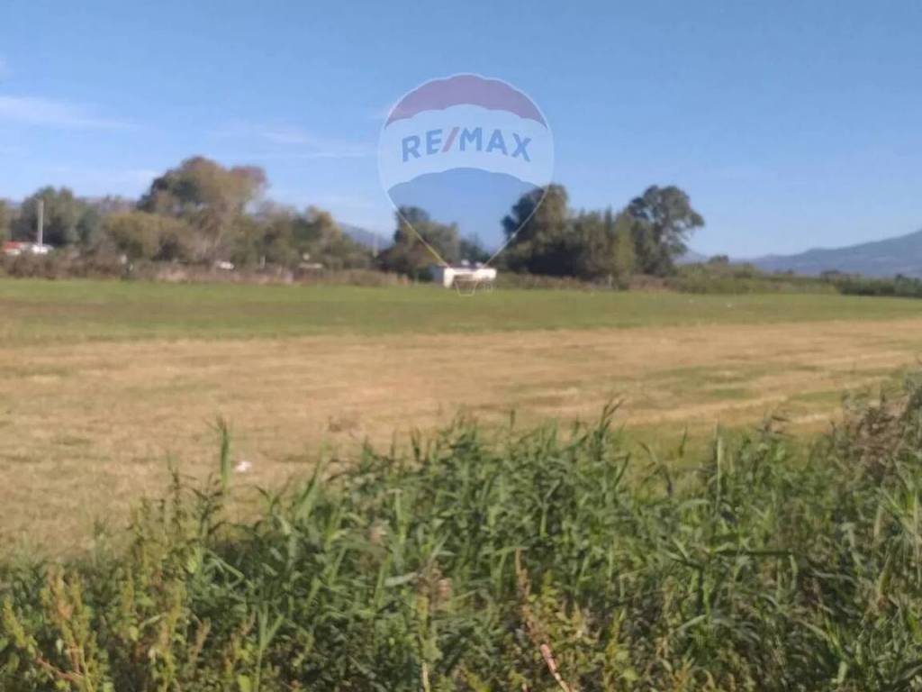 Terreno a Cellole - Foto 2