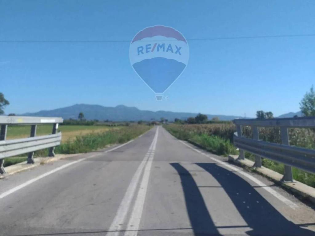 Terreno a Cellole - Foto 5