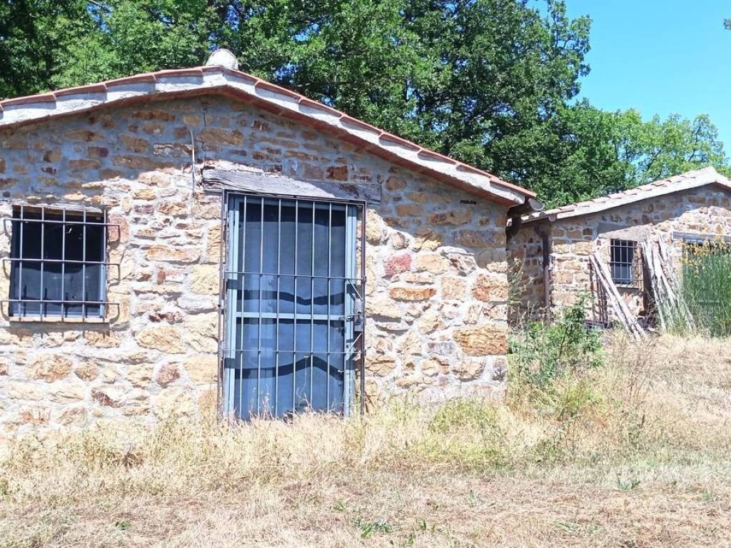 Rustico / casale a Sorano in case sparse casa gatti - Foto 3