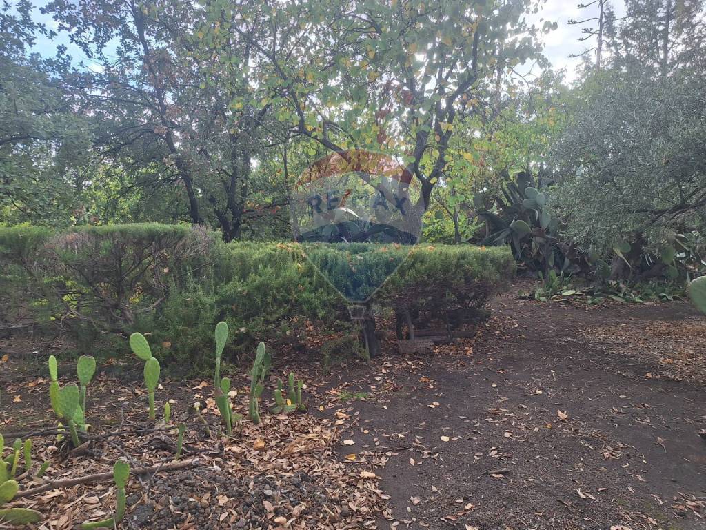 Terreno a Belpasso in via v traversa c.da altarello, 190 - Foto 3