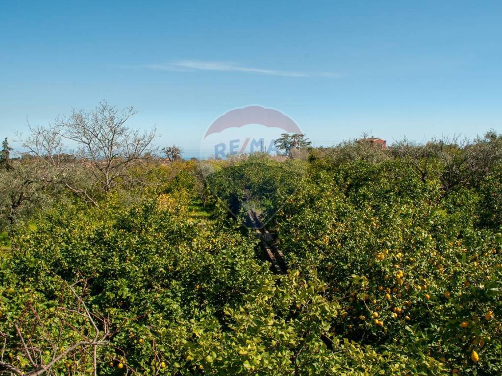 Terreno a Mascali in Via Torrente Vallonazzo - Foto 2