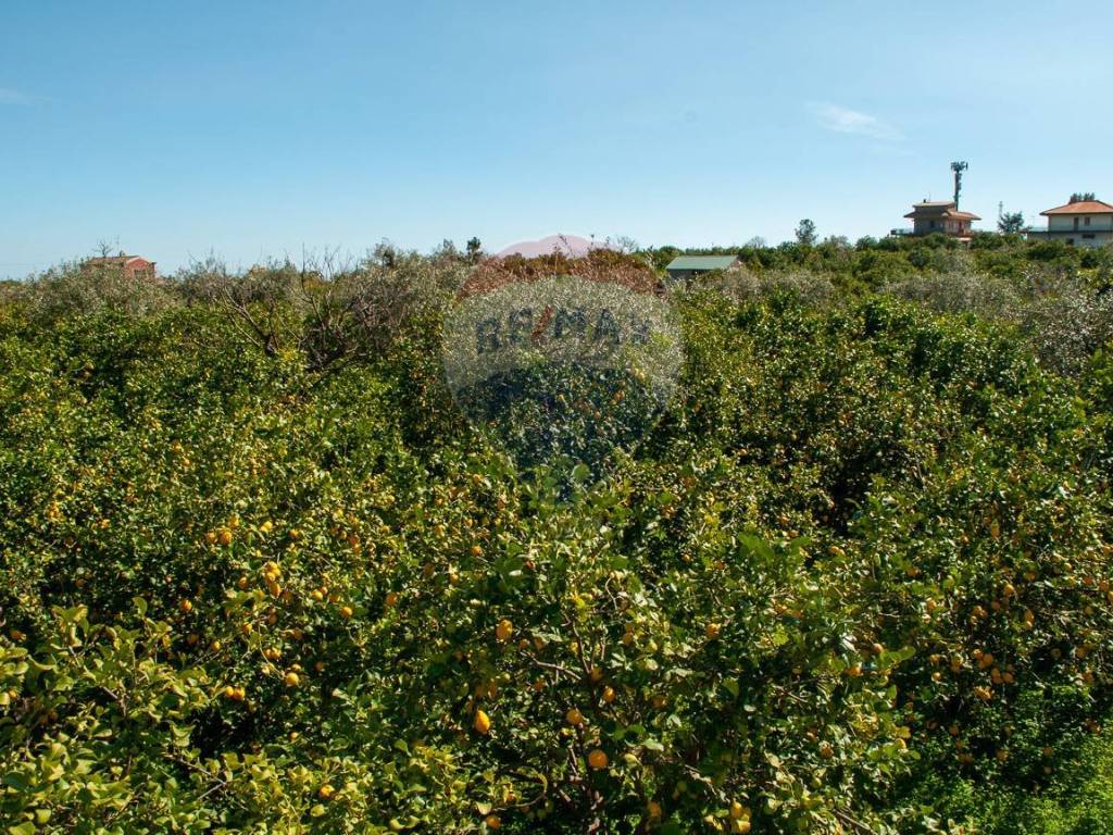 Terreno a Mascali in Via Torrente Vallonazzo - Foto 3