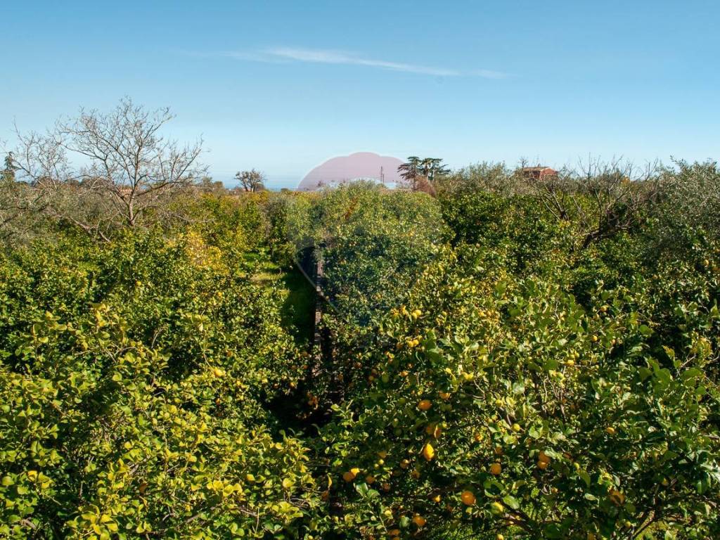 Terreno a Mascali in Via Torrente Vallonazzo - Foto 4
