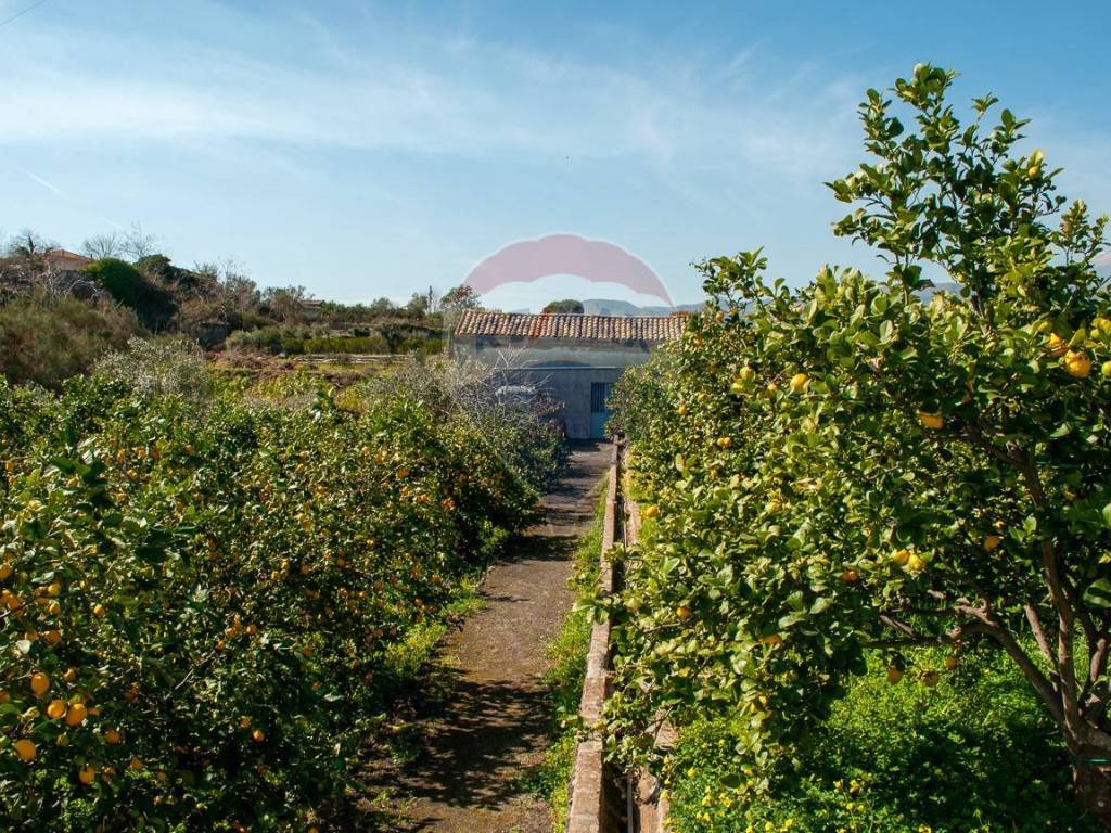 Terreno a Mascali in Via Torrente Vallonazzo - Foto 5