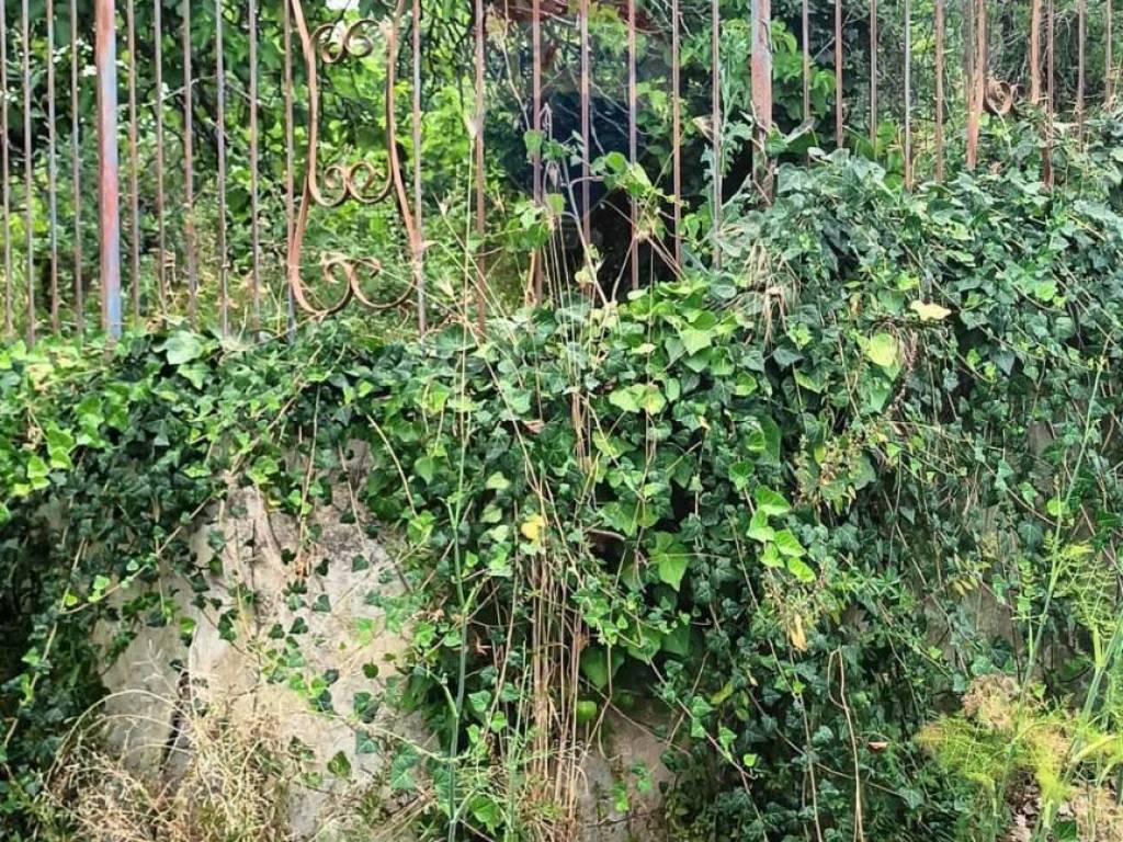 Terreno a Pedara in contrada cozzarelli - Foto 2