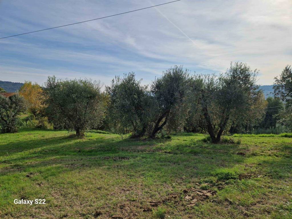 Terreno a Riparbella in Strada comunale le Ginepraie - Foto 2