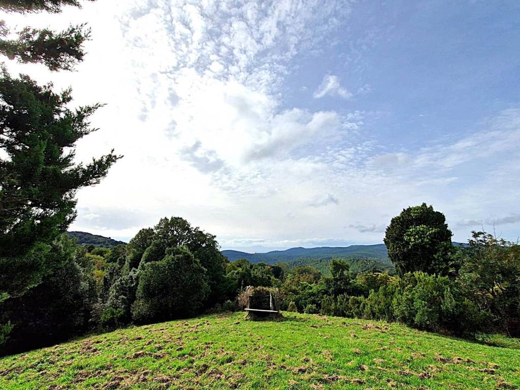 Terreno a Rosignano marittimo - Foto 2