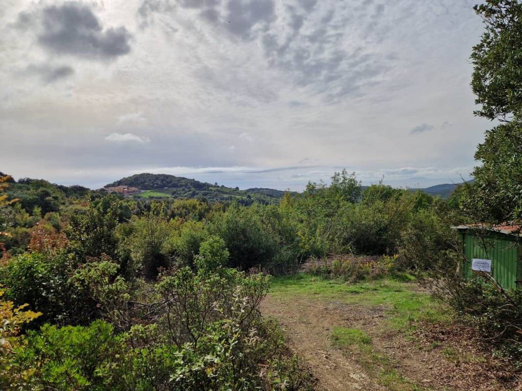 Terreno a Rosignano marittimo - Foto 4