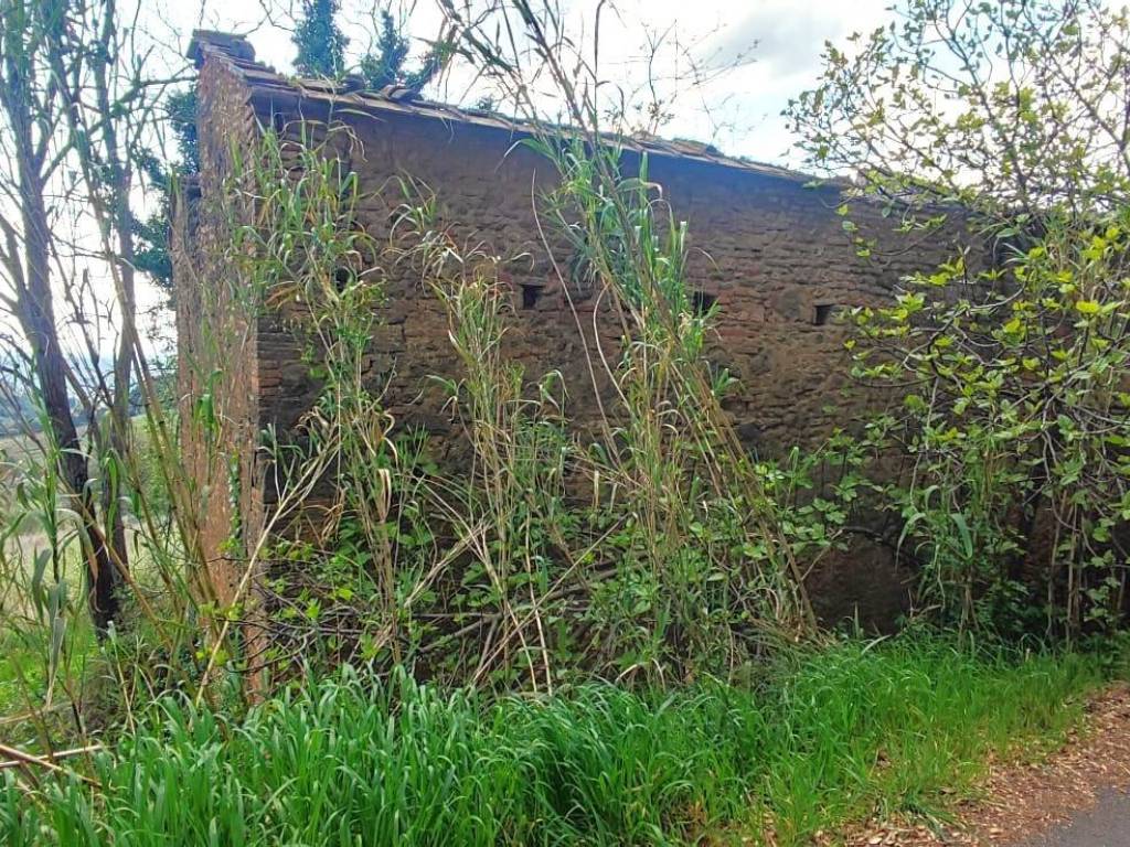 Rustico / casale a Riparbella - Foto 4