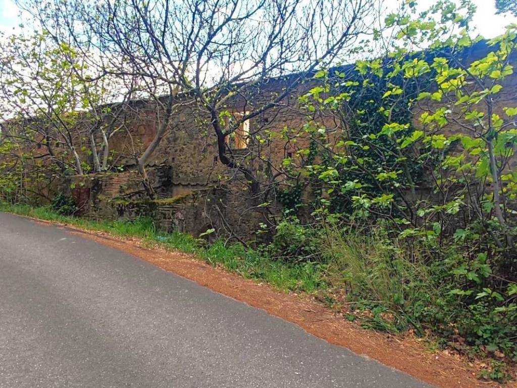 Rustico / casale a Riparbella - Foto 5