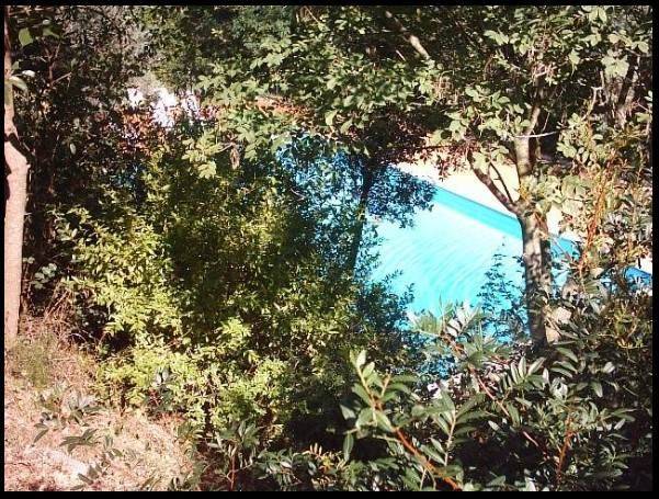 Appartamento a Montescudaio in Rio Del Sole - Foto 4