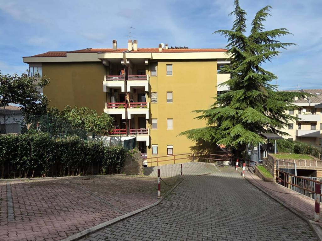 Appartamento a Chieti - Foto 3