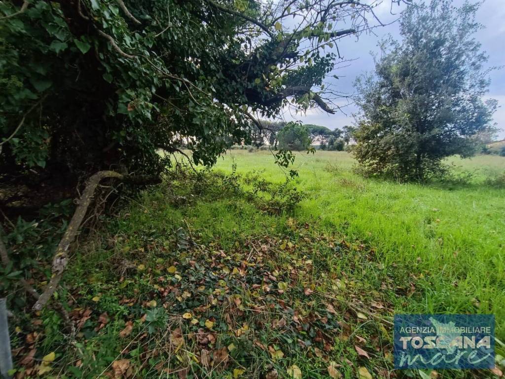 Rustico / casale a Castagneto carducci - Foto 2