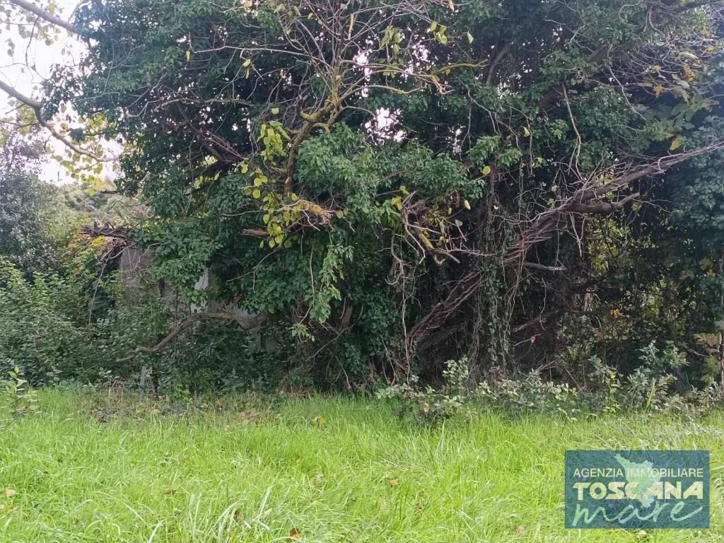 Rustico / casale a Castagneto carducci - Foto 3