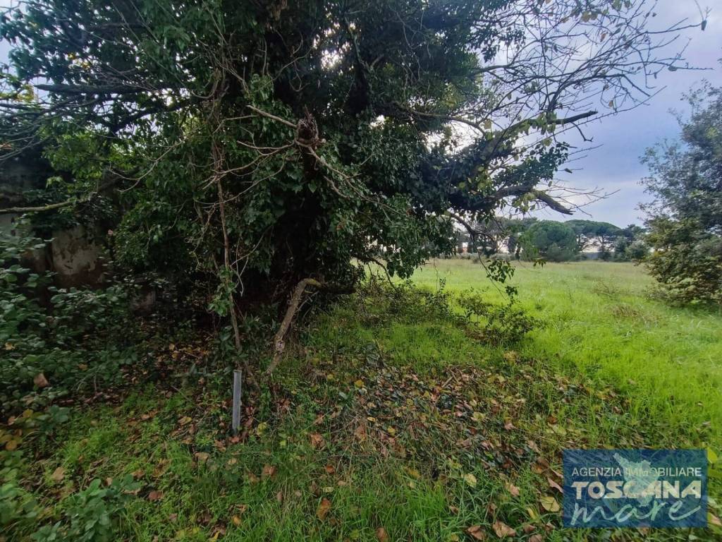Rustico / casale a Castagneto carducci - Foto 4