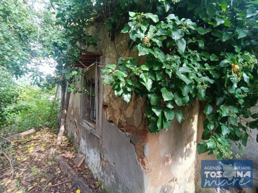 Rustico / casale a Castagneto carducci - Foto 5