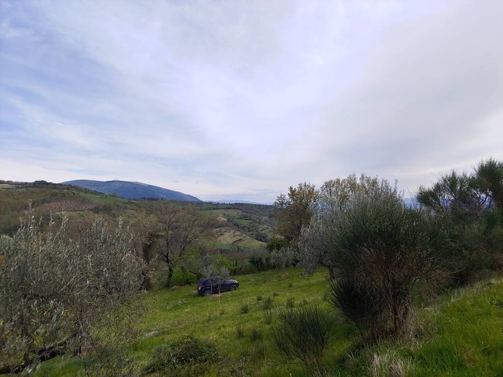 Terreno a Assisi - Foto 2