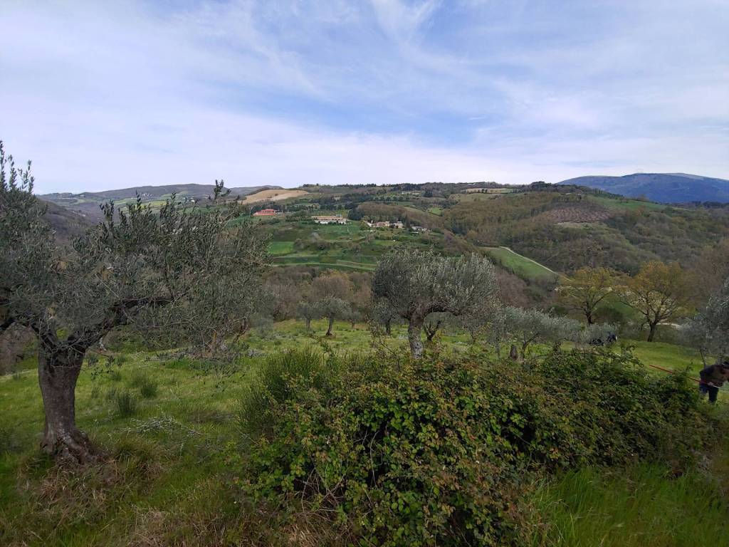Terreno a Assisi - Foto 3