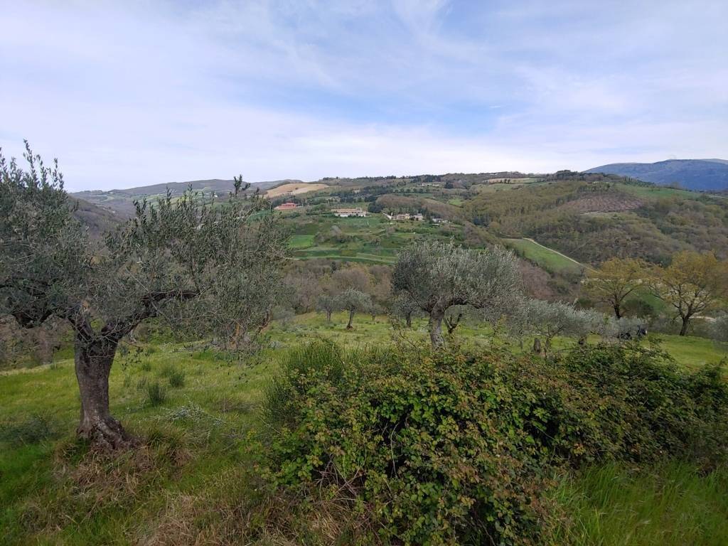 Terreno a Assisi - Foto 4