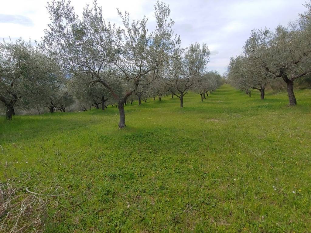 Terreno a Assisi - Foto 2