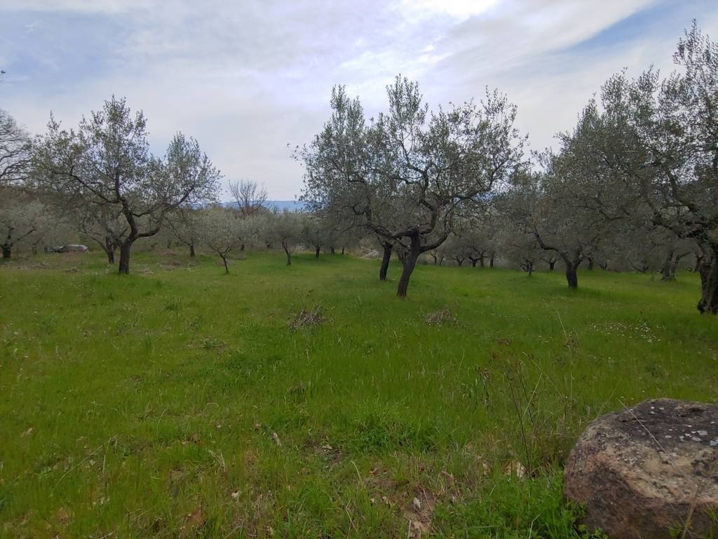 Terreno a Assisi - Foto 3
