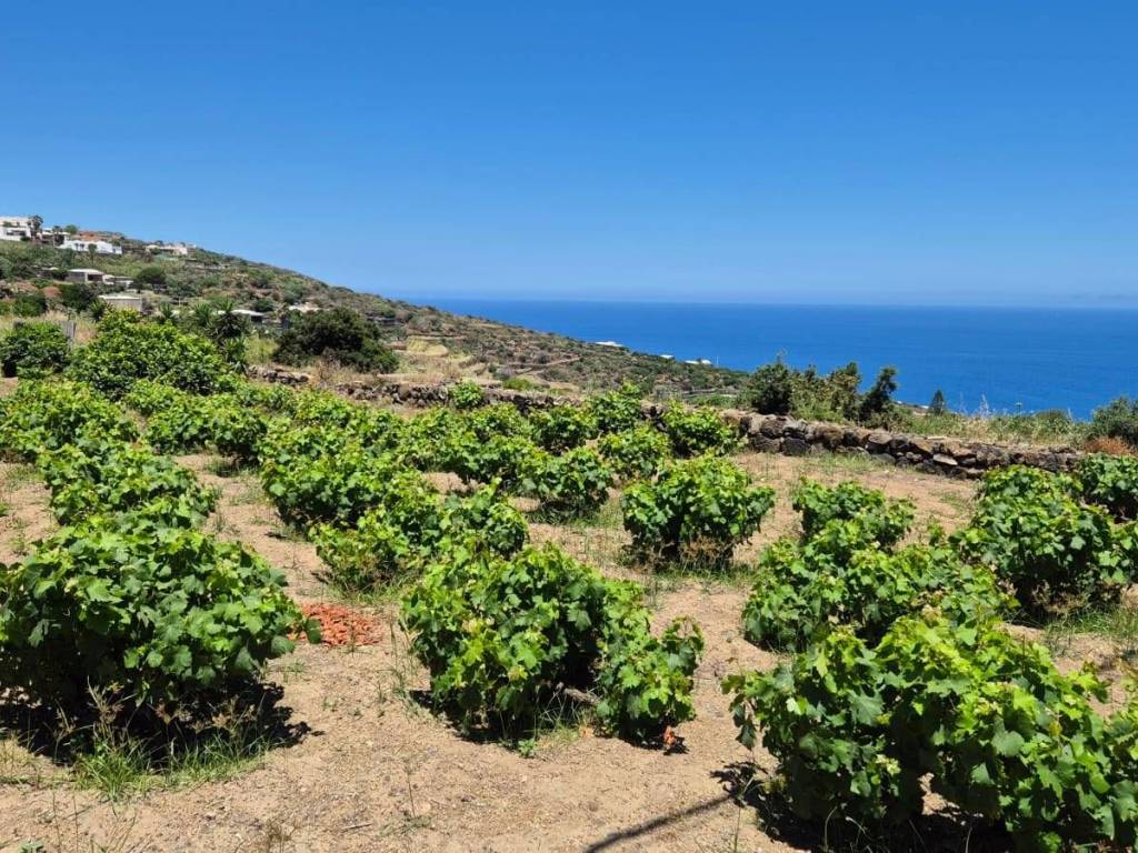 Villa a Pantelleria in via Marina - Foto 5