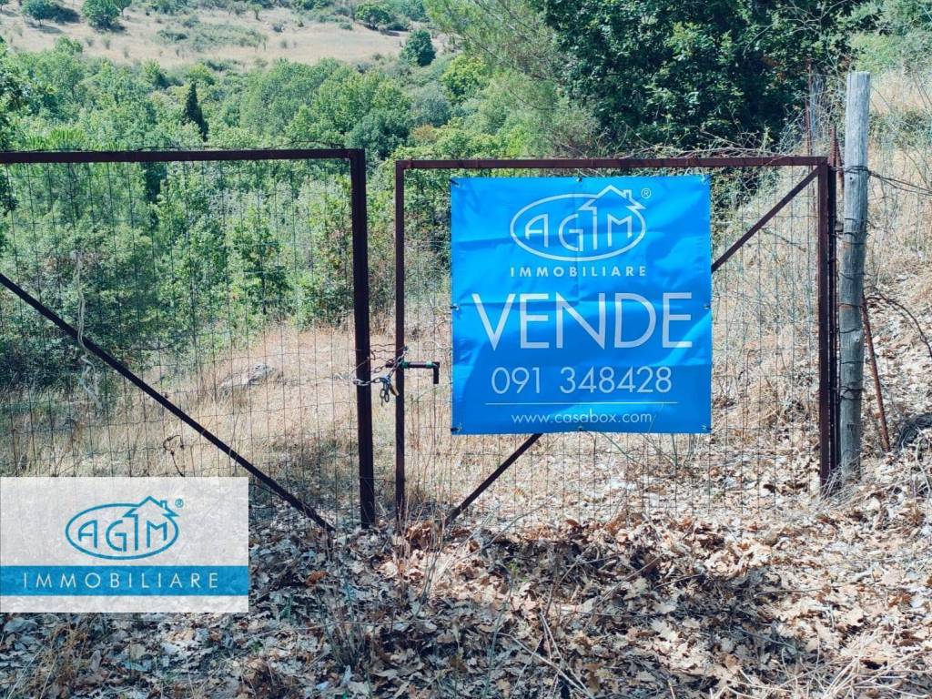 Terreno a Petralia sottana - Foto 2