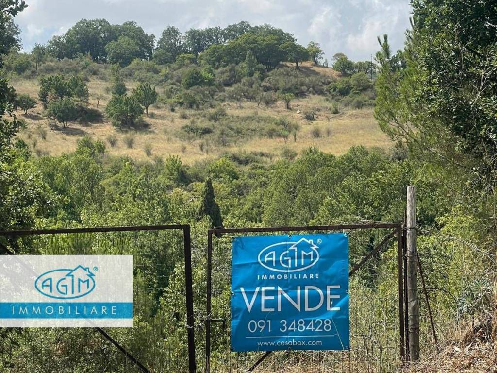 Terreno a Petralia sottana - Foto 3