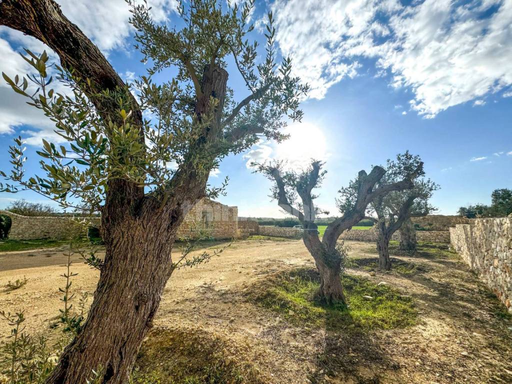 Rustico / casale a Noto in contrada Buonivini - Foto 5