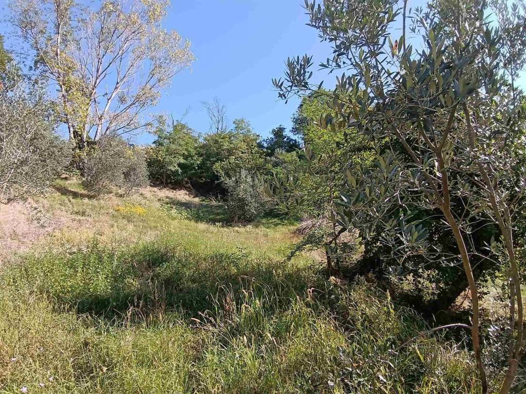 Rustico / casale a San severino marche - Foto 5