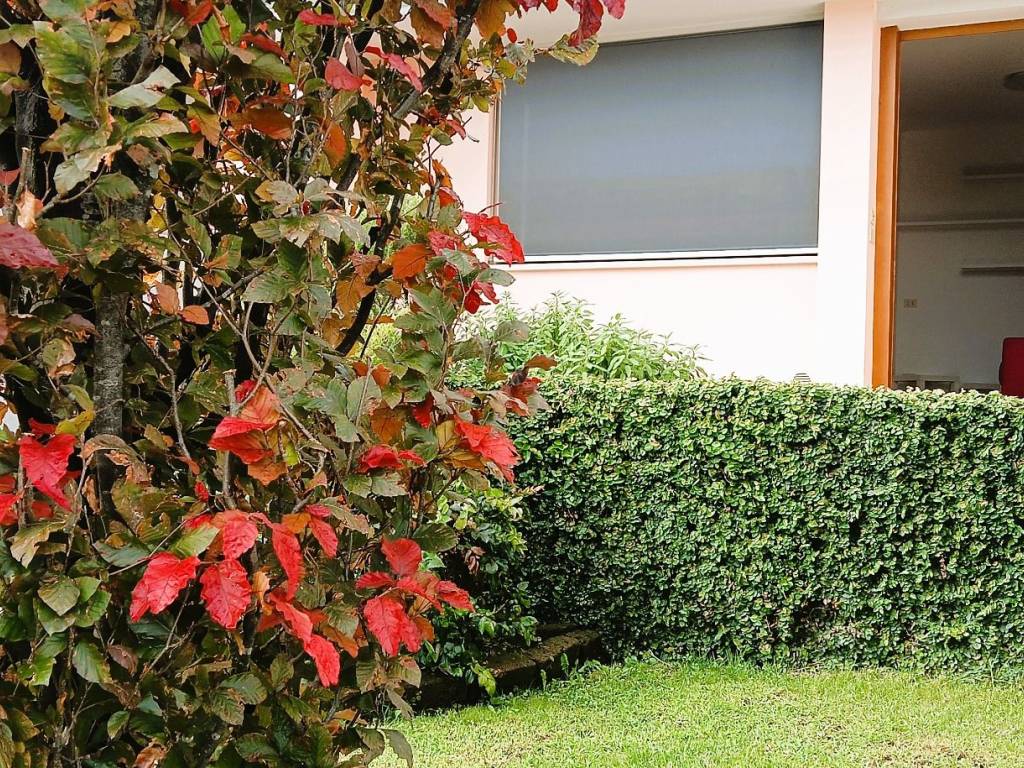 Appartamento a Conegliano - Foto 2