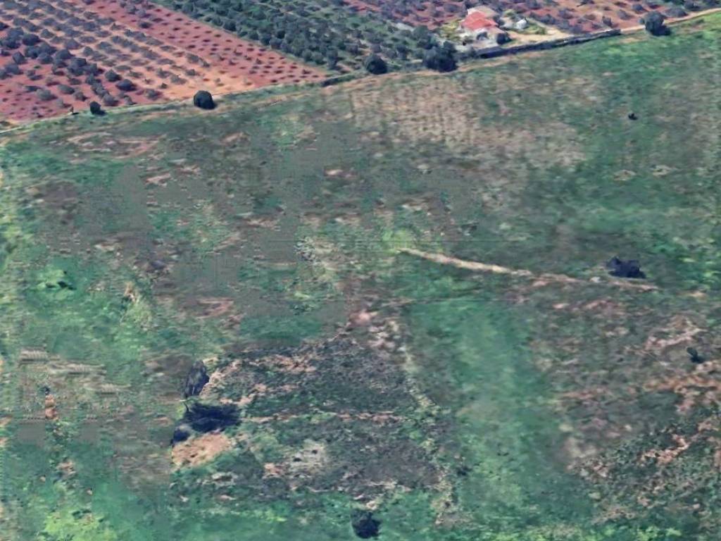 Terreno a Castelvetrano - Foto 2