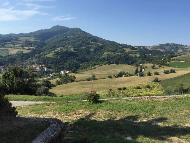 Rustico / casale a Rotella in Contrada Colle - Foto 3