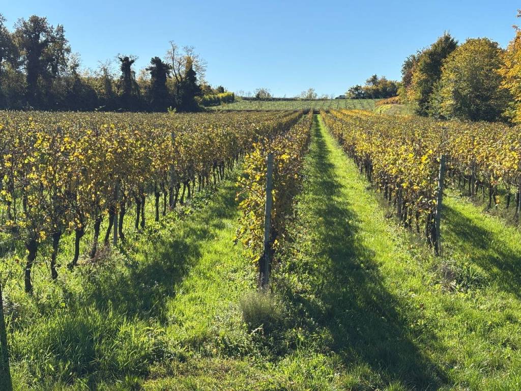 Terreno a Pastrengo in Località Costalunga - Foto 4