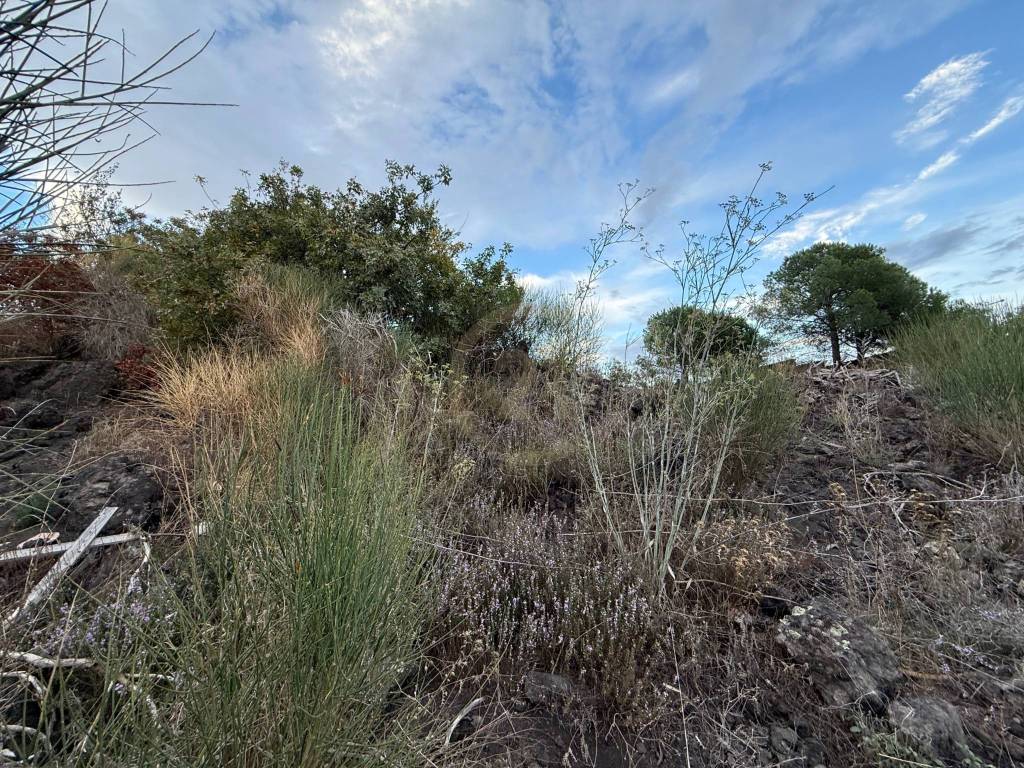 Terreno a Mascalucia in Via Mompilieri - Foto 5