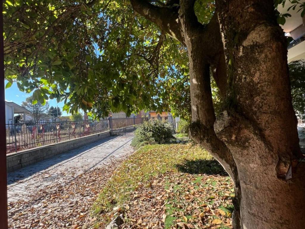 Villa a Ottobiano in Via San Giorgio - Foto 5