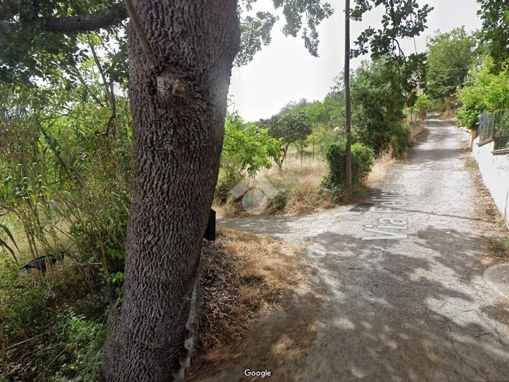 Terreno a Castrovillari in C.da Feliceto - Foto 2